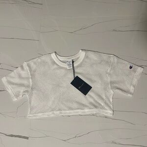 Mesh Shimmel Tee Crop Top